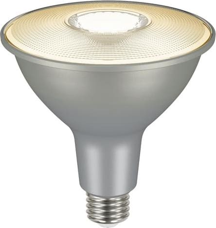 Ecosmart par38 2025