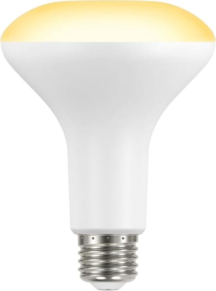 Ecosmart led br30 on sale